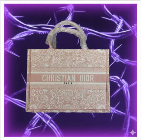 Chiristian Dior Bag