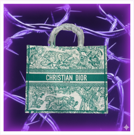 Chiristian Dior Bag